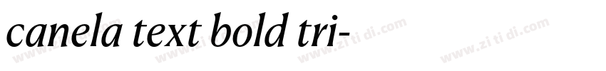 canela text bold tri字体转换